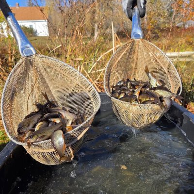 Photo of Ed's Live Bait