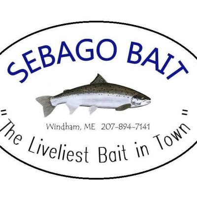 Photo of Sebago Bait
