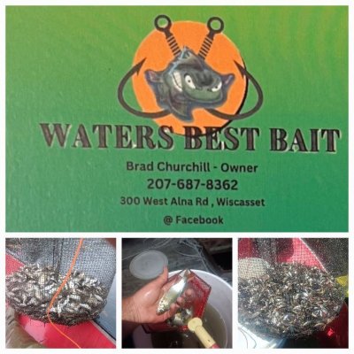 Photo of Waters Best Bait
