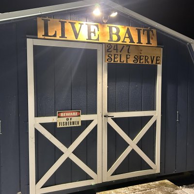 Photo of Wild Willey's Bait Shop